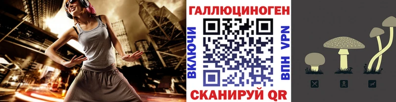 Купить закладки  Кувандык  Галлюциногенные грибы Psilocybe 