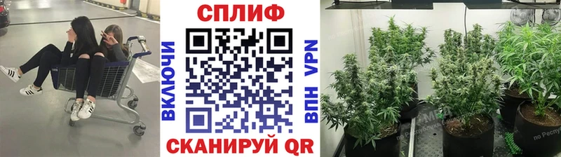 Бошки Шишки сатива  Купить где  Кувандык 
